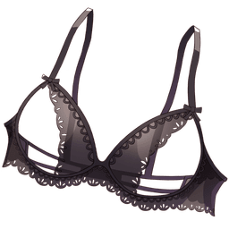 Lingerie V