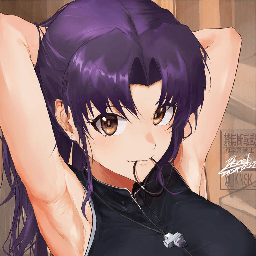 Support Pal Misato V