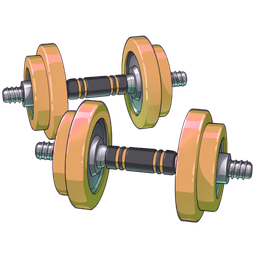 Weights V