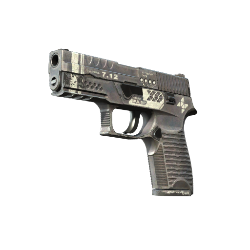 P250 III