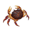Fire Crab