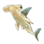 Hammerhead Shark