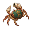 Piercing Crab