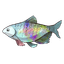 Rainbow Fish