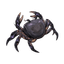 Shadow Crab