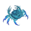 Water Crab