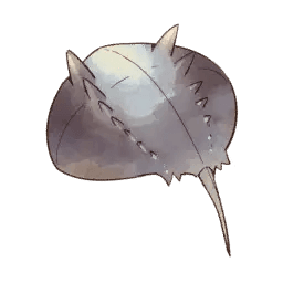 Horseshoe Crab