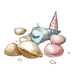 Pretty Shells