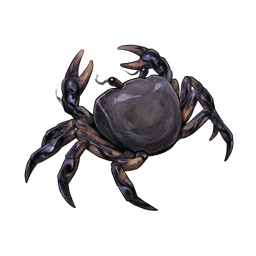 Shadow Crab