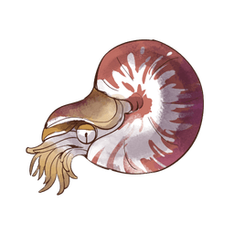 Vortex Squid